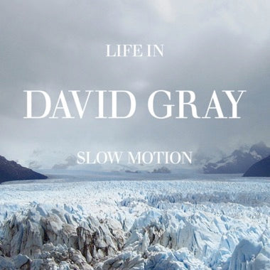 David Gray - Life In Slow Motion 20th (Blue Deluxe 20th ann. )