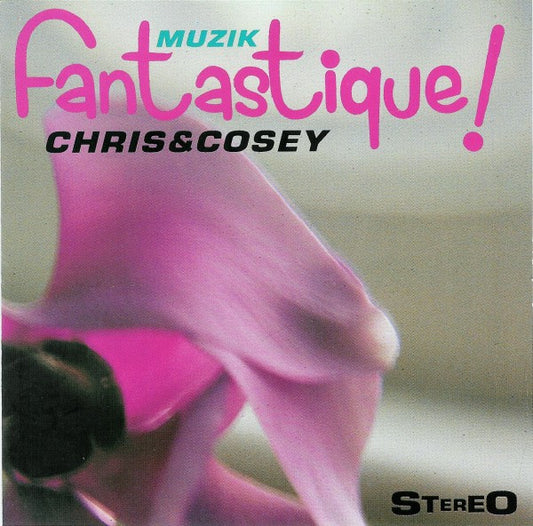 CHRIS & COSEY- MUZIK FANTASTIQUE!