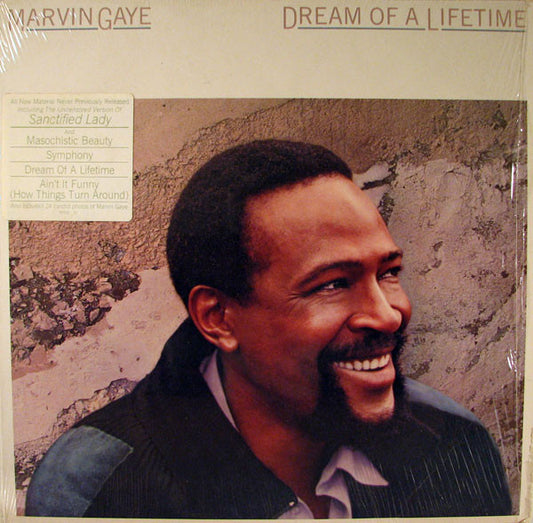 MARVIN GAYE- DREAM