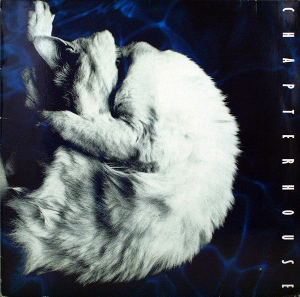 CHAPTERHOUSE-WHIRLPOOL