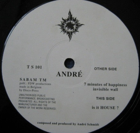 WESLEY BRIGHT& THE HONEYBEES-HAPPINESS 7"