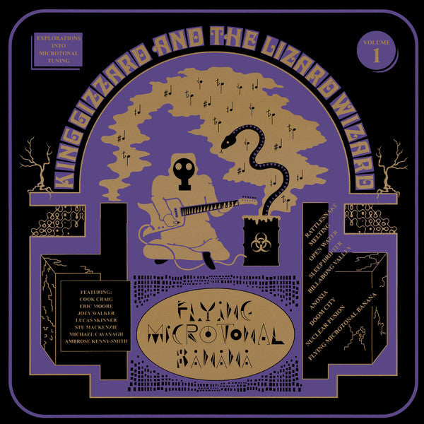 KING GIZZARD-FLYING MICROTONAL