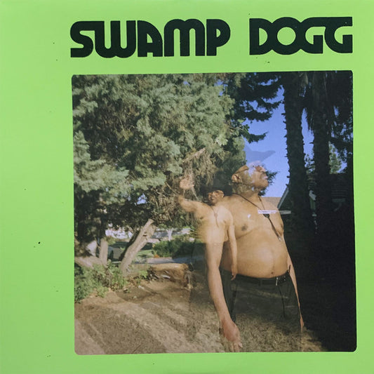 SWAMP DOGG - I NEED A JOB