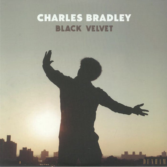 CHARLES BRADLEY-BLACK VELVET