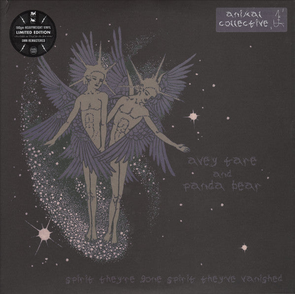 Animal Collective - Spirit They're Gone, Spirit They've Vanished