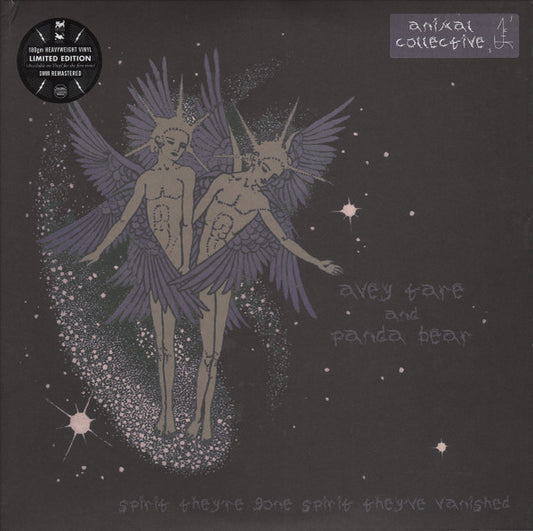 Animal Collective - Spirit They're Gone, Spirit They've Vanished