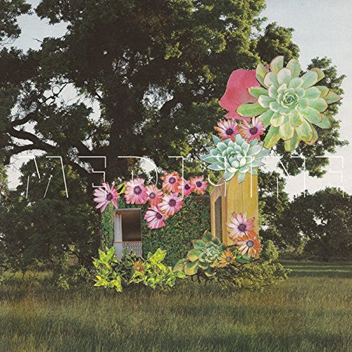 MEDICINE-HOME EVERYWHERE