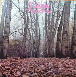 TWINK-THINK PINK