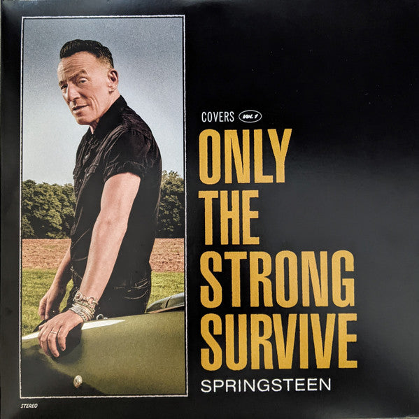 BRUCE SPRINGSTEEN - ONLY THE STRONG SURVIVE