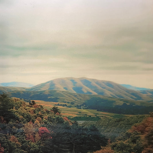 DIRTY PROJECTORS/BJORK -MOUNT