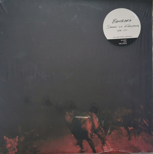 BAMBARA- SHADOW ON EVERYTHING