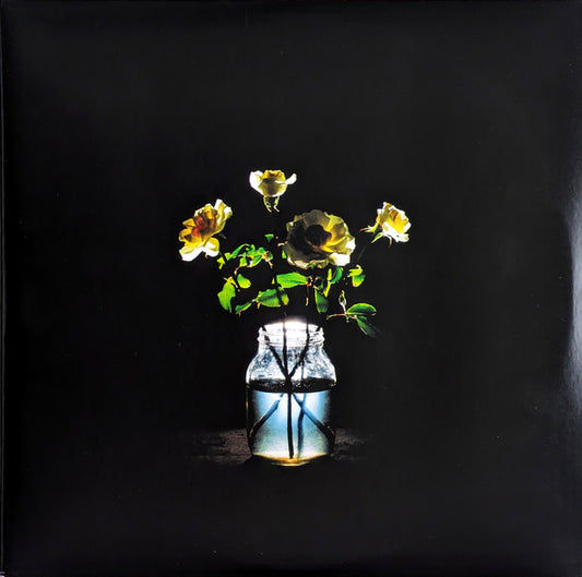 BILLY STRINGS- RENEWAL (BLACK)