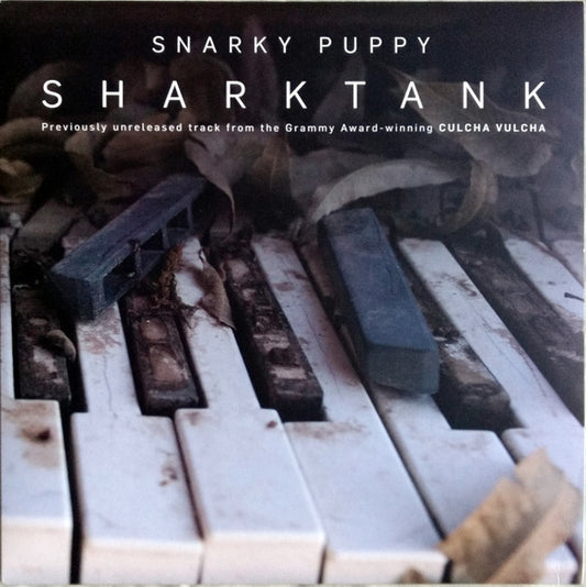 SNARKY PUPPY-SHARKTANK