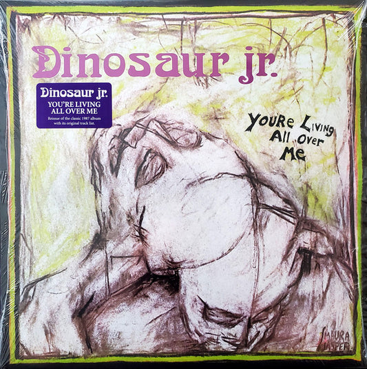 DINOSAUR JR.- YOU'RE LIVING ALL OVER ME