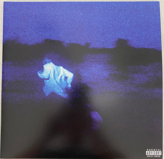 DANIEL CAESAR- NEVER ENOUGH