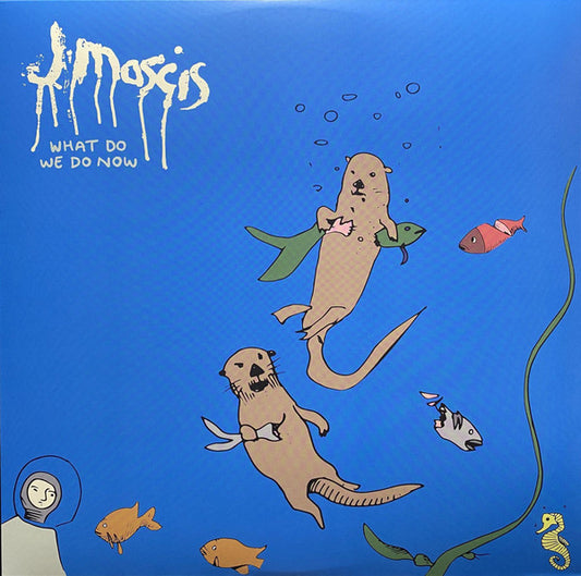J MASCIS- WHAT DO WE DO NOW