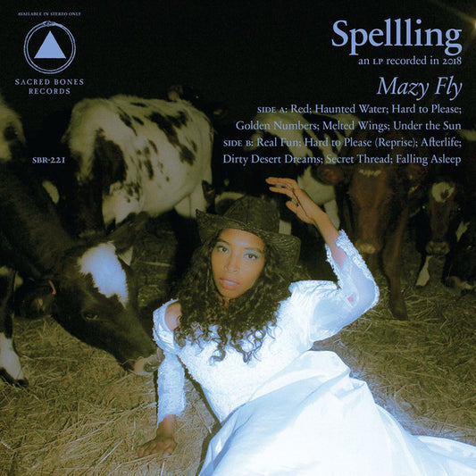 SPELLING-MAZY FLY