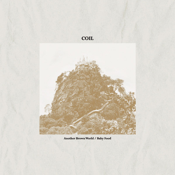 COIL-ANOTHER BROWN WORLD/BABY FOOD