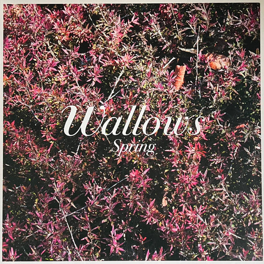 WALLOWS- SPRING