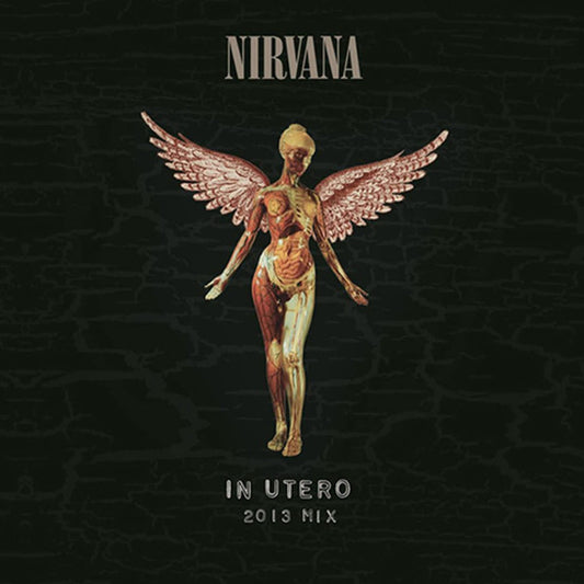 NIRVANA - IN UTERO 2013