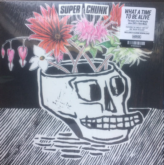 SUPERCHUNK-WHAT A TIME