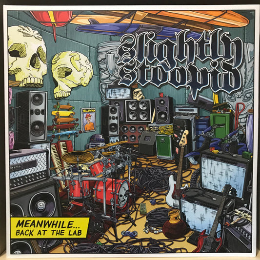 SLIGHTLY STOOPID- MEANWHILE