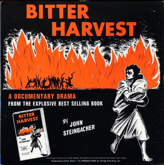 BEST RECORD STORE BOOK