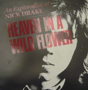 Nick Drake - Heaven In A Wild Flower