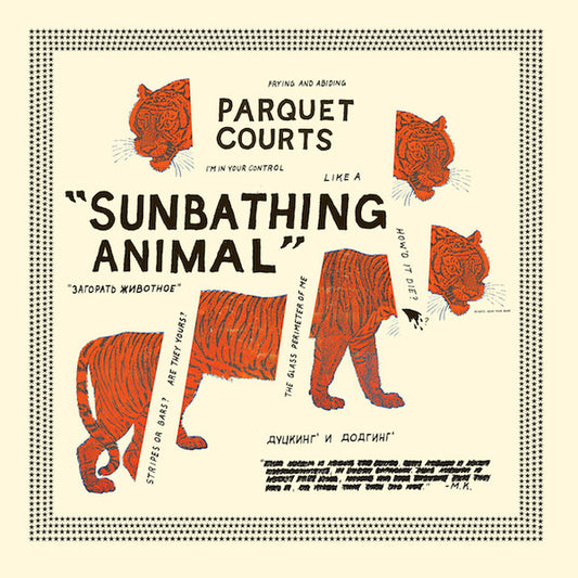 PARQUET COURTS-SUNBATHING