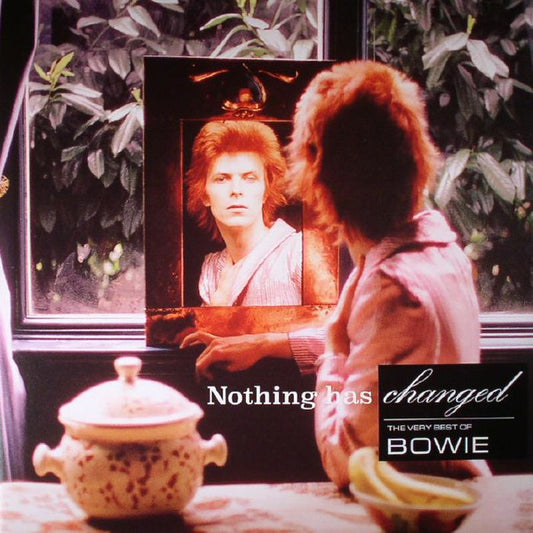 DAVID BOWIE-NOTHING HAS CHANGED