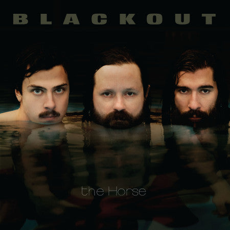 BLACKOUT-THE HORSE