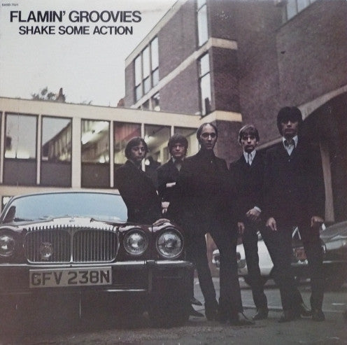 FLAMIN' GROOVIES - SHAKE SOME ACTION