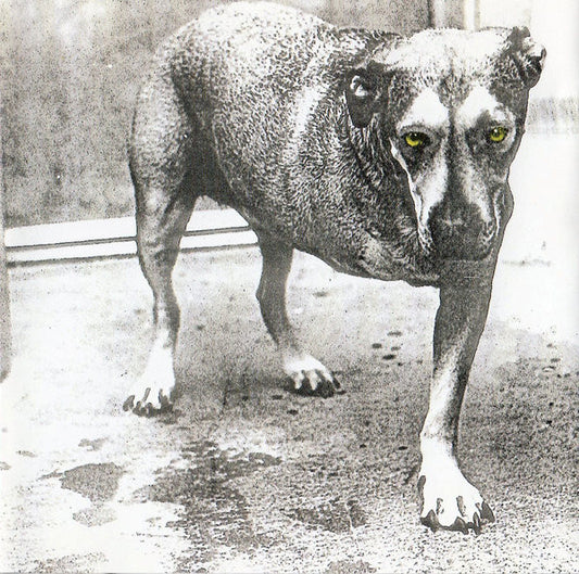 ALICE IN CHAINS - THREE LEGGED DOG (COLORED)