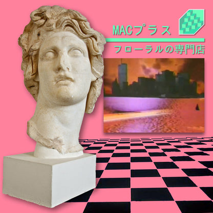 MACINTOSH PLUS-FLORAL SHOPPE